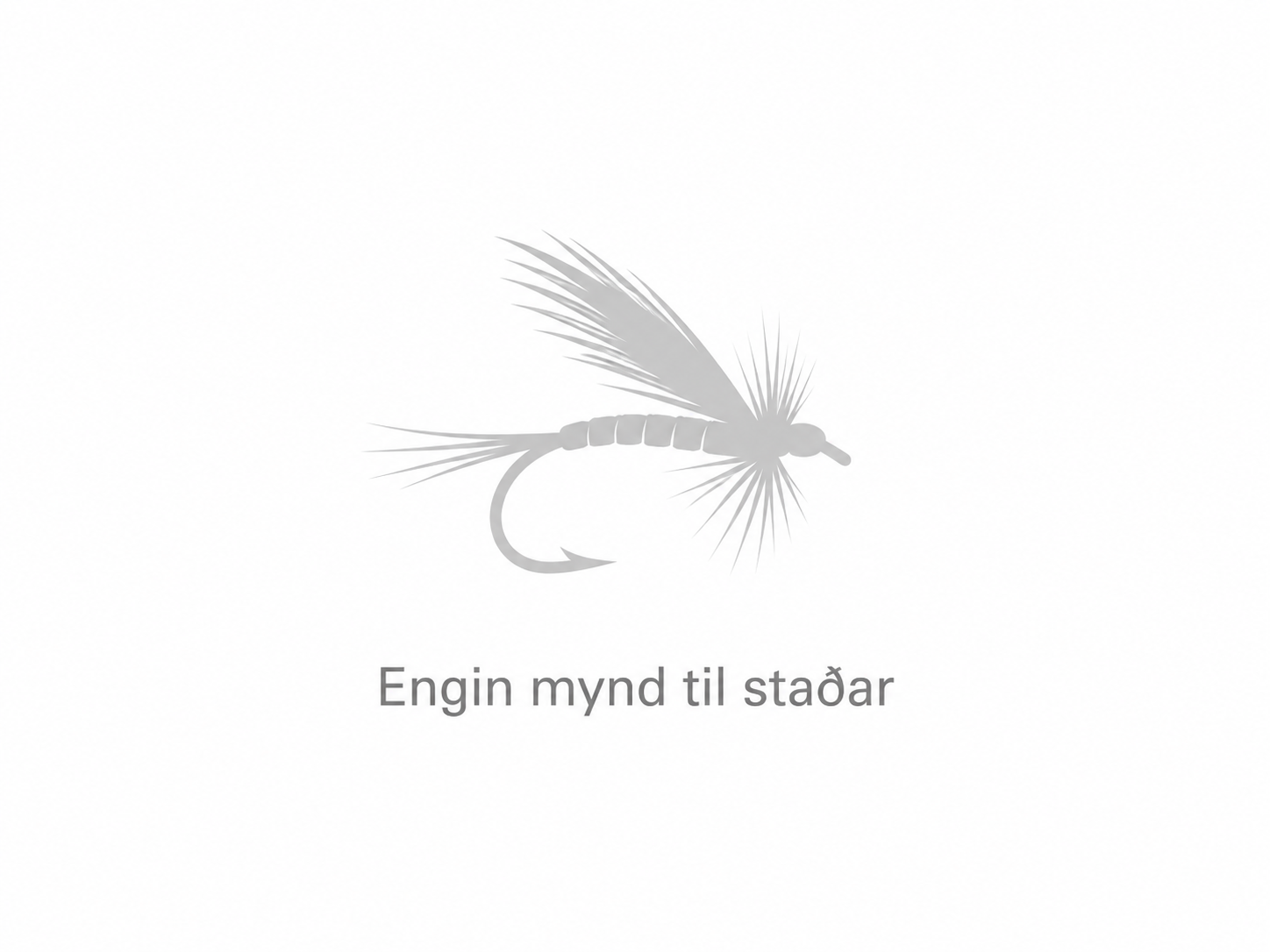 Engin mynd til staðar